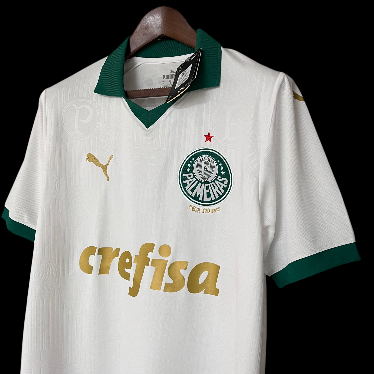 Camisa do Palmeiras Reserva 2024/2025