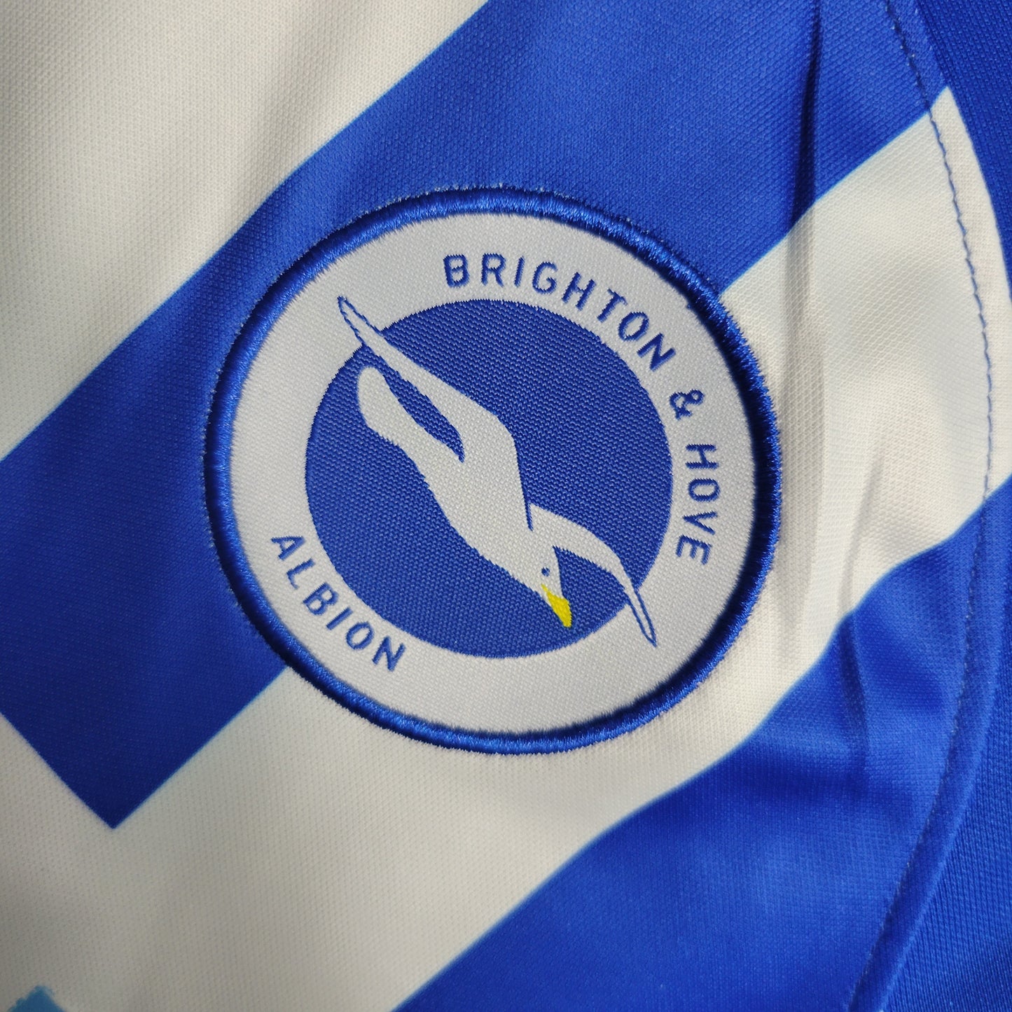 Kit Infantil do Brighton Titular 2023/2024