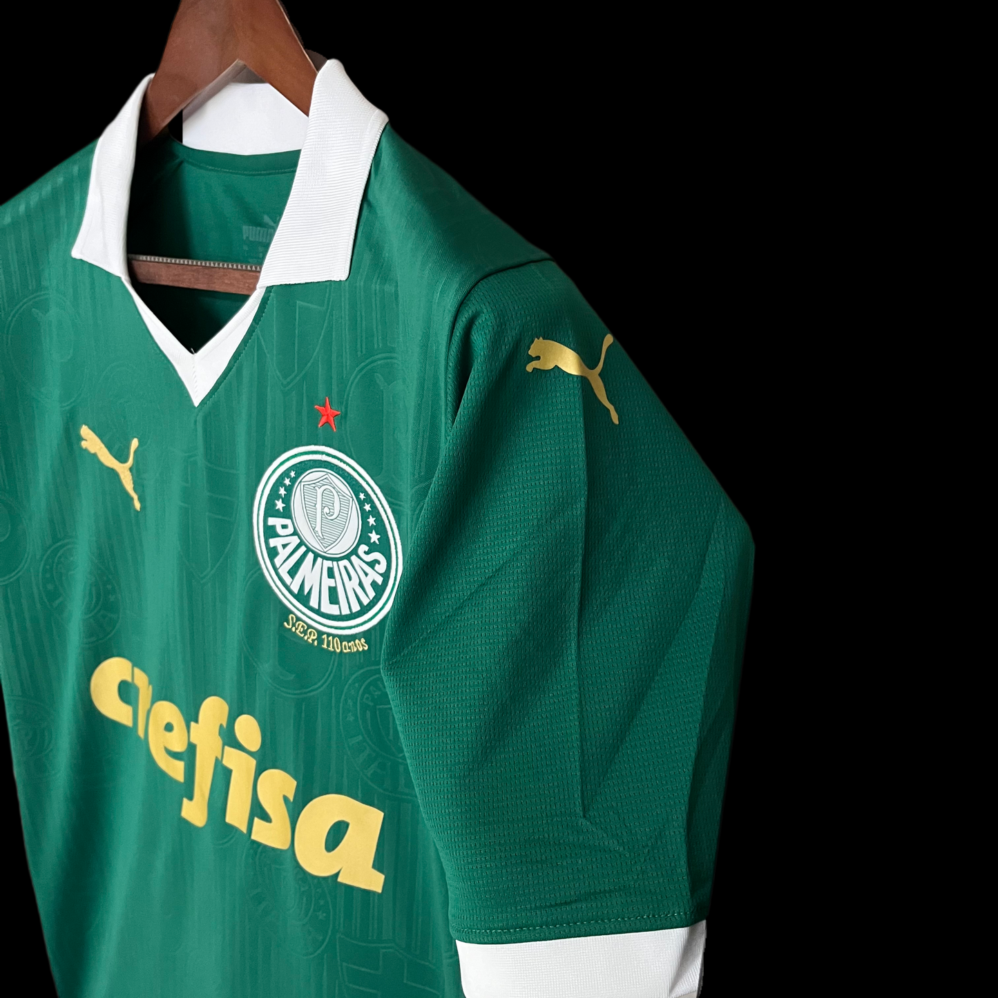 Camisa do Palmeiras Titular 2024/2025