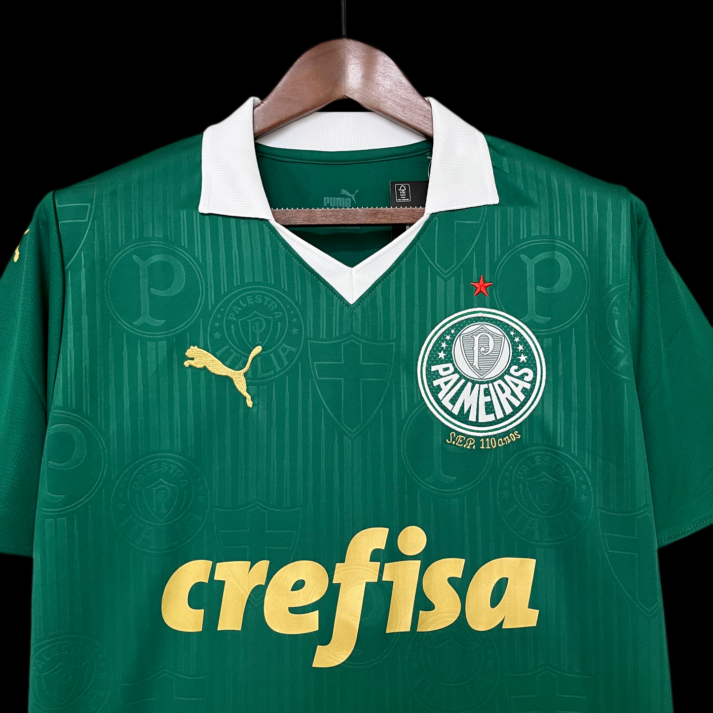 Camisa do Palmeiras Titular 2024/2025