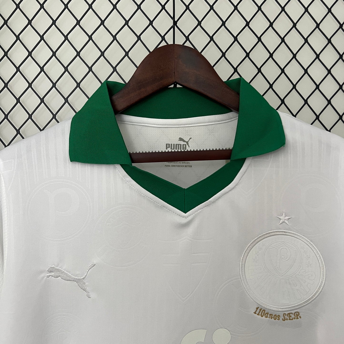 Camisa do Palmeiras Edição Especial 2024/2025