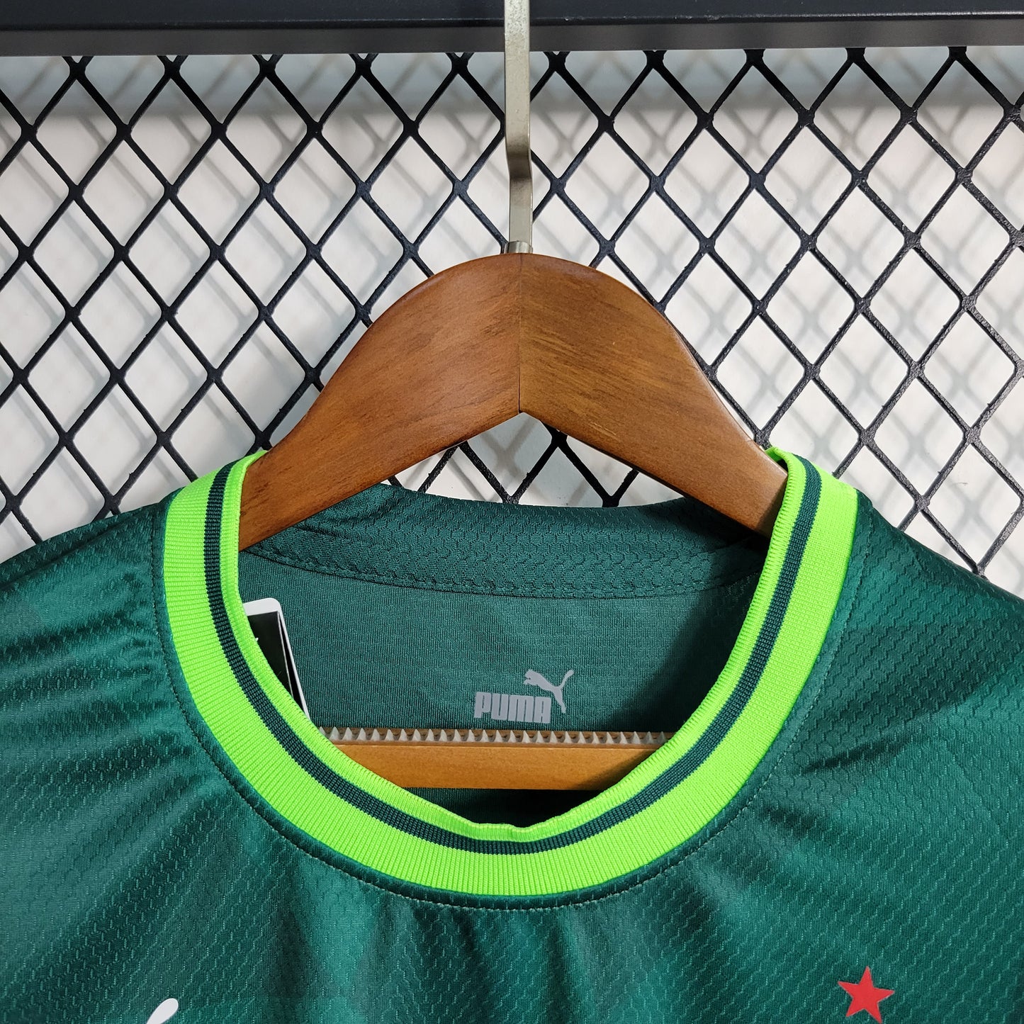 Camisa Feminina do Palmeiras Titular 2023/2024