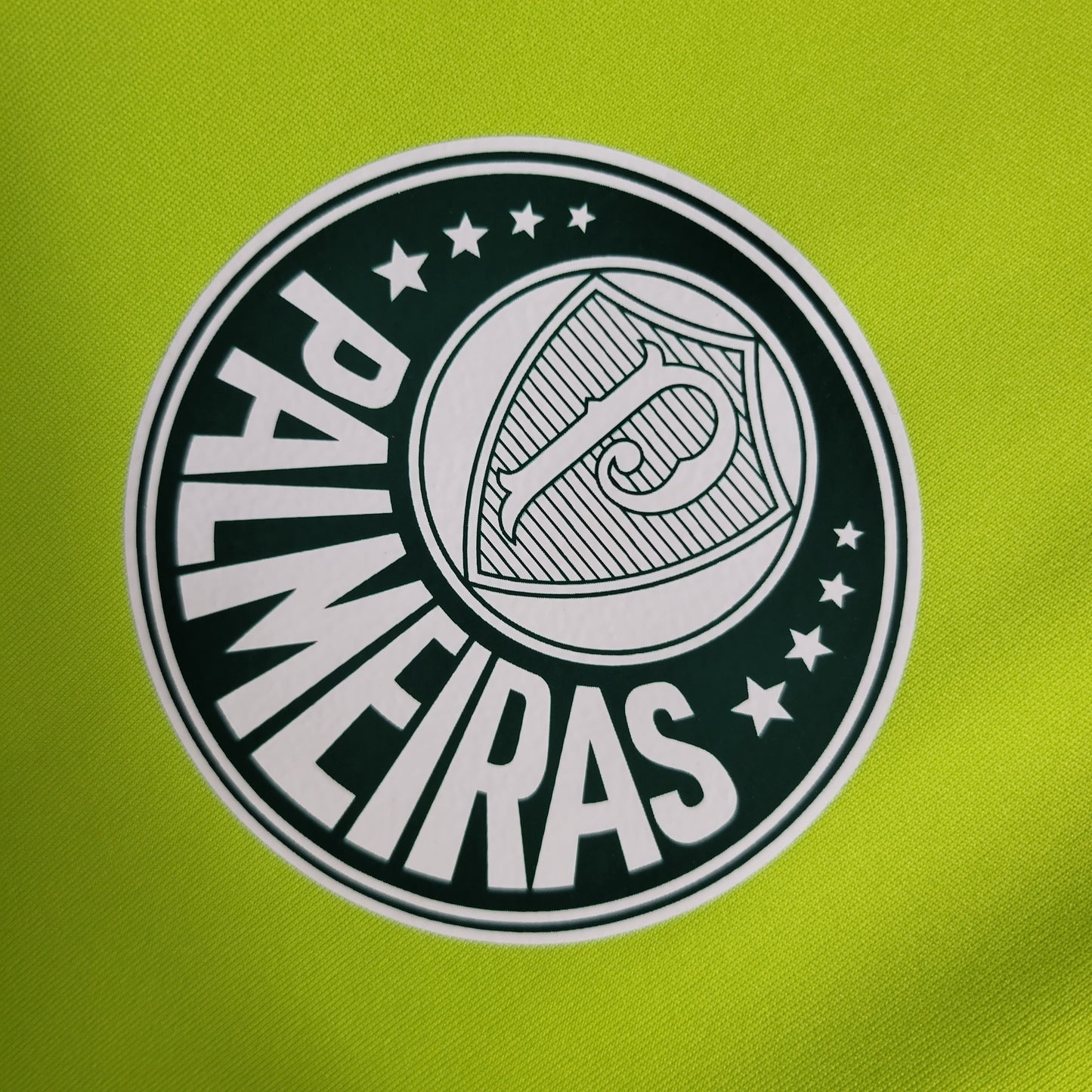 Camisa do Palmeiras Treino Grass Green 2023/2024