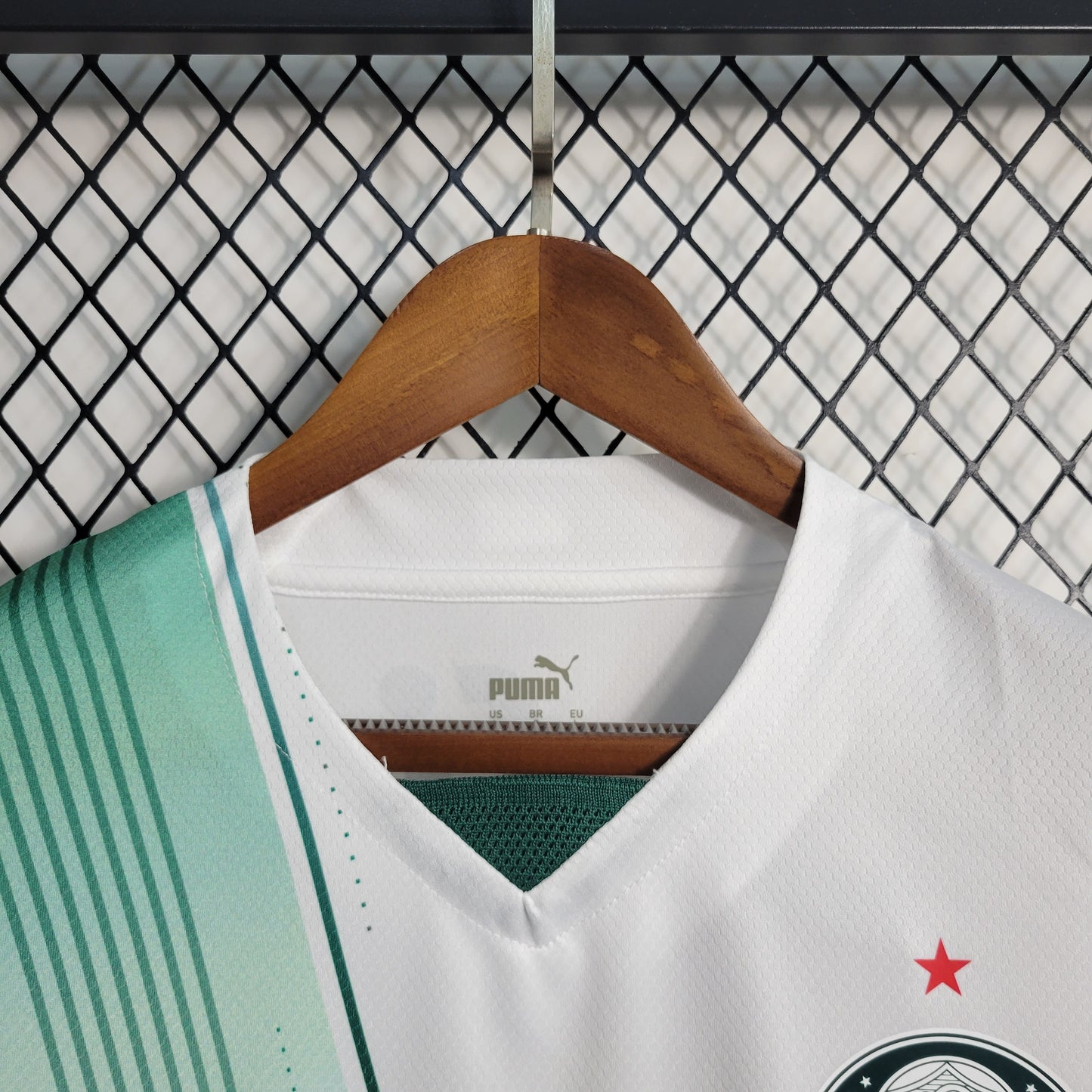 Camisa do Palmeiras Reserva 2023/2024